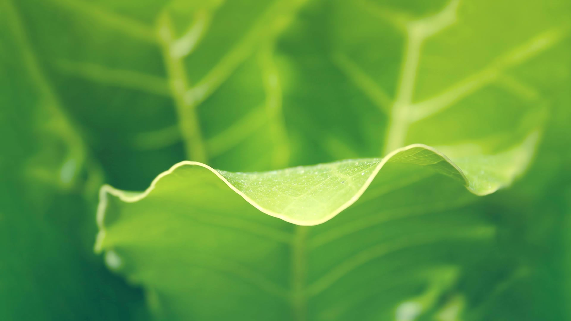 濟(jì)寧市天眾機(jī)械有限公司<br>