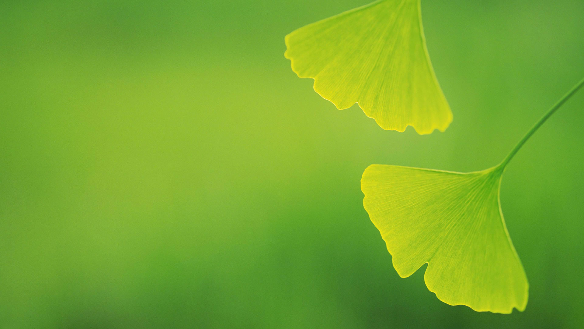 濟(jì)寧市天眾機(jī)械有限公司<br>