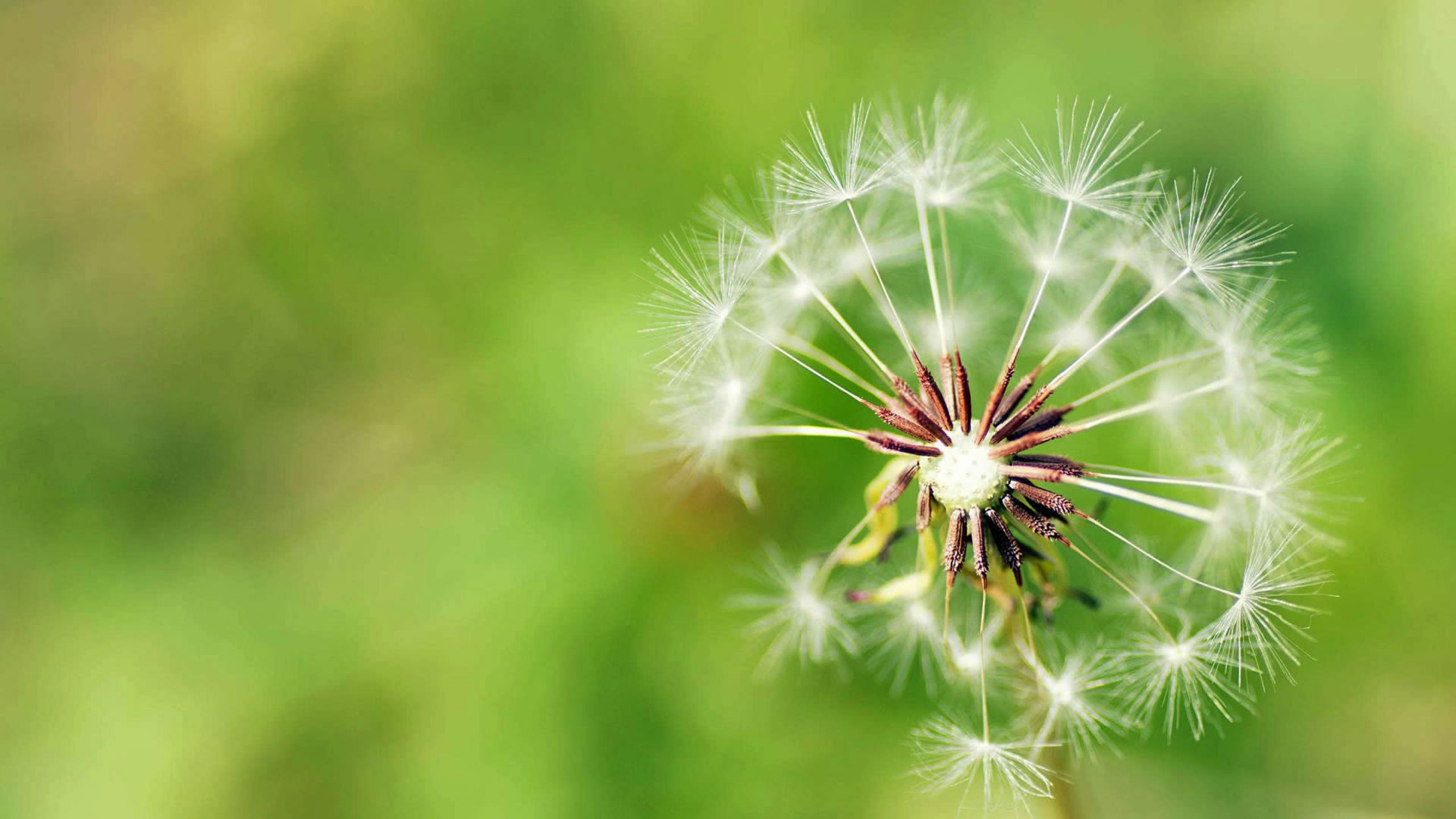 濟(jì)寧市天眾機(jī)械有限公司<br>